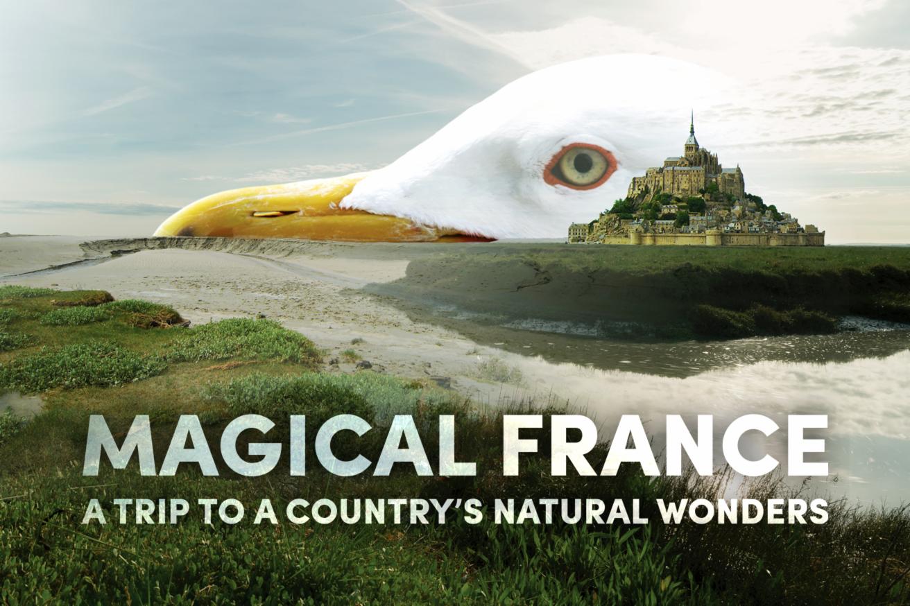 MAGICAL FRANCE: A TRIP TO A COUNTRY